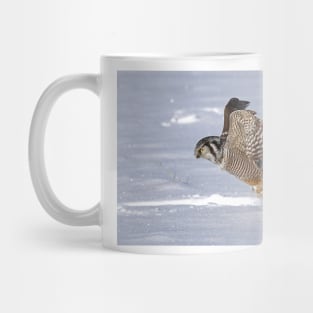 Northern Hawk-Owl Mug